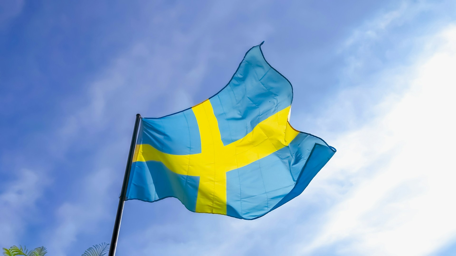 Grattis på Sveriges nationaldag